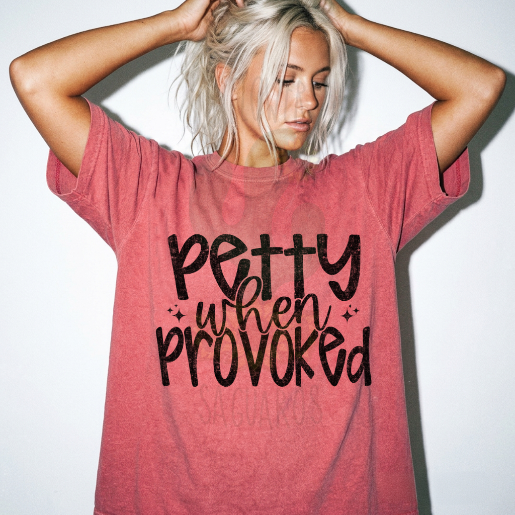 Petty When Provoked
